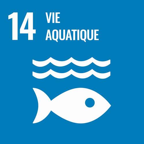 ODD 14 - Vie aquatique