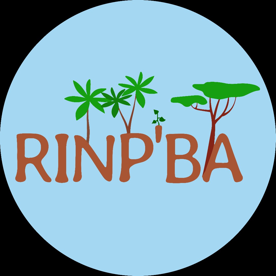 Logo RINP&rsquo;BA