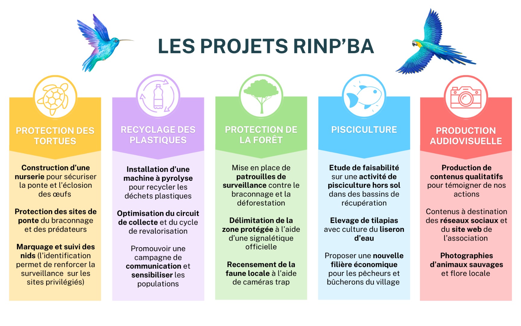 RINP&rsquo;BA