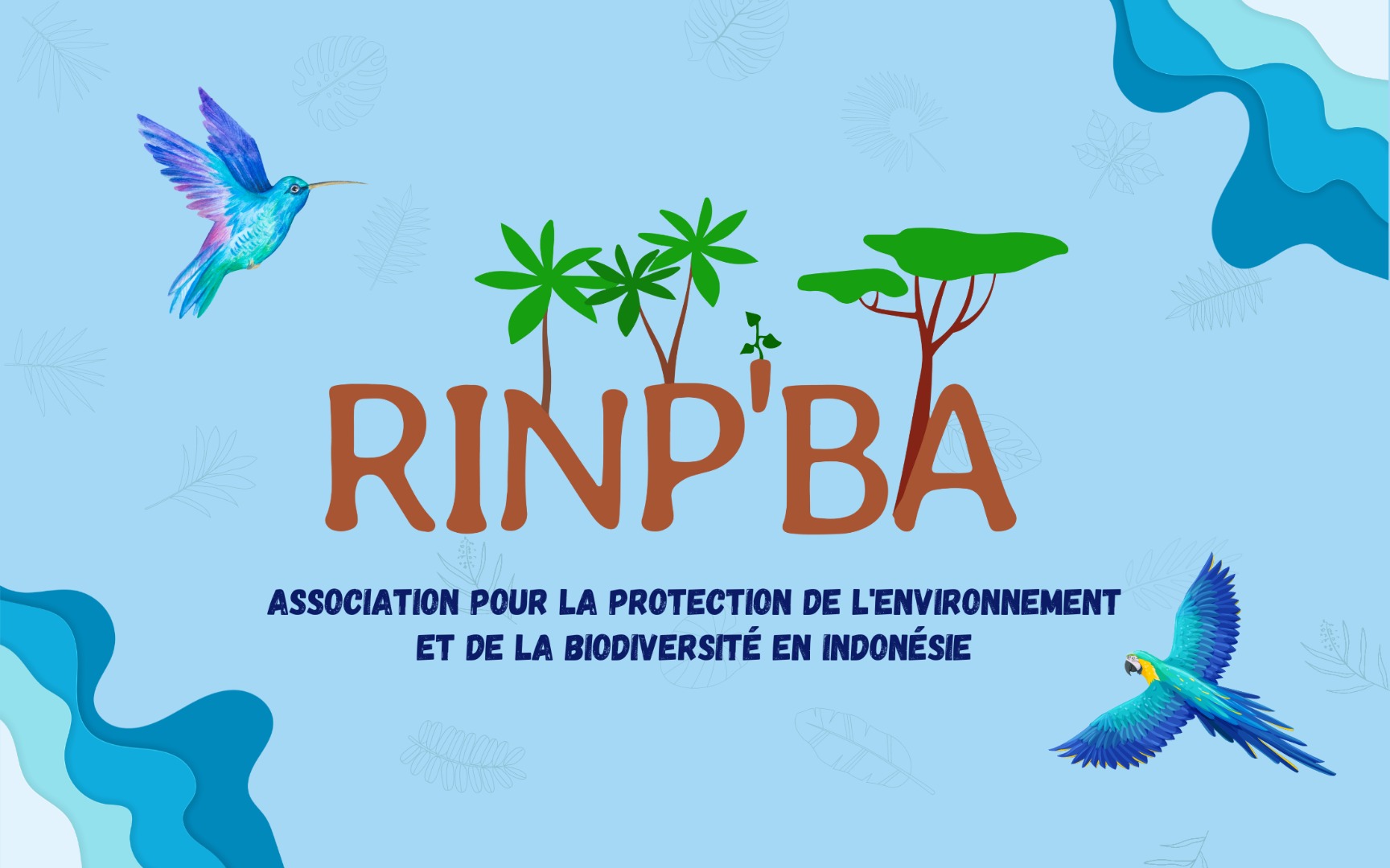 RINP&rsquo;BA